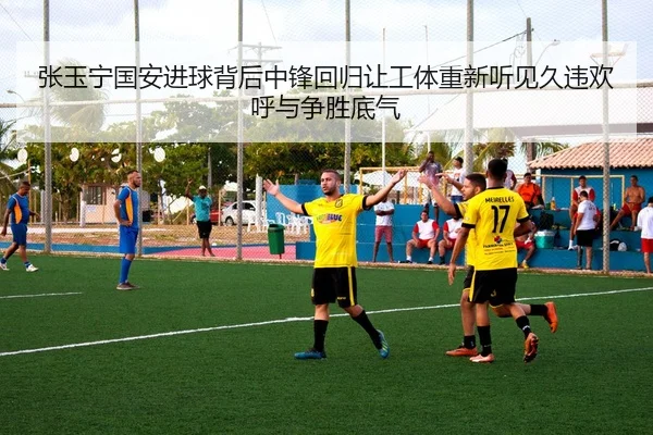 张玉宁国安进球背后中锋回归让工体重新听见久违欢呼与争胜底气